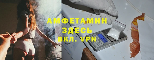 молекула духа Лабытнанги