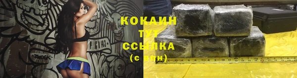 молекула духа Лабытнанги