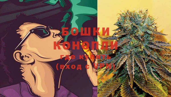 молекула духа Лабытнанги