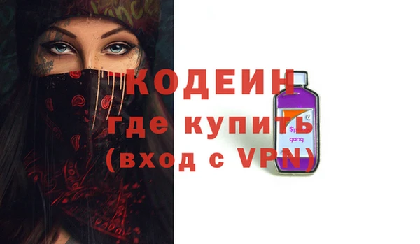 молекула духа Лабытнанги