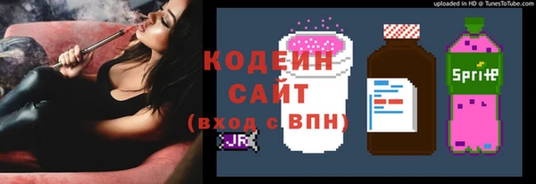 молекула духа Лабытнанги