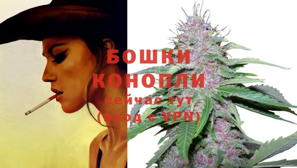 молекула духа Лабытнанги